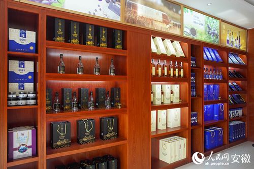 新征程江淮行｜安徽懷寧 勾勒“莓”好藍圖，科技助力鄉村振興